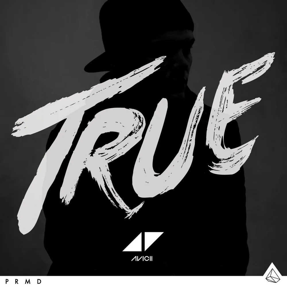 Album cover for Hey Brother by Avicii