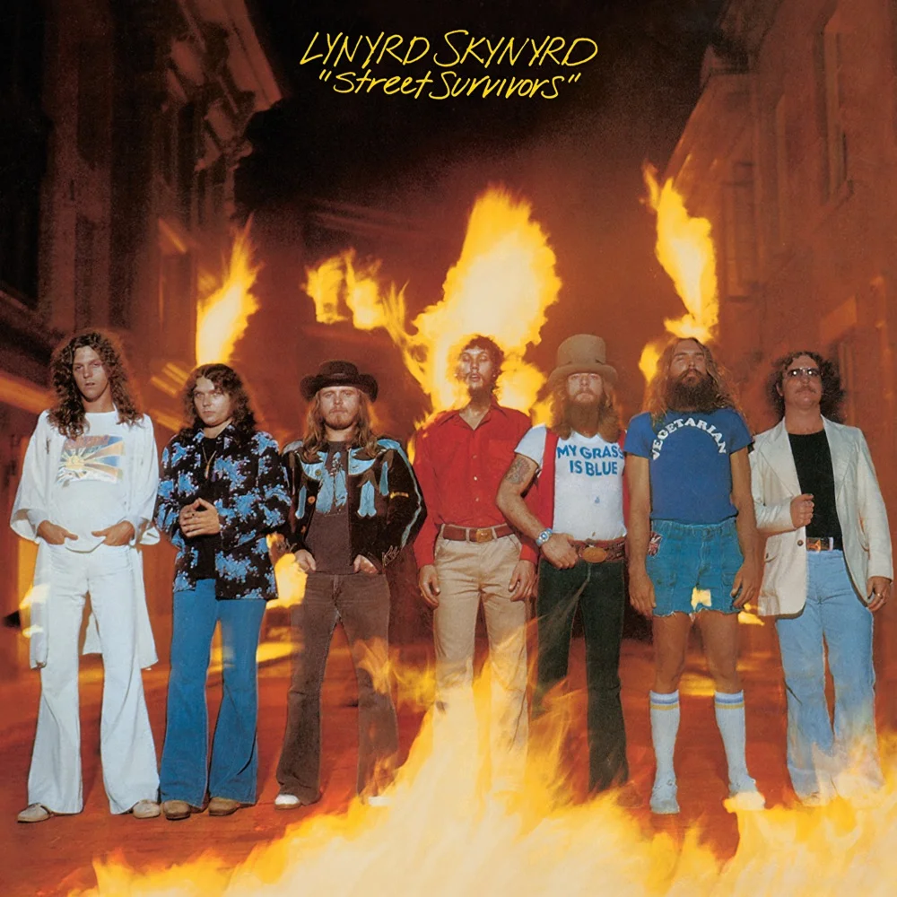 Art for What’s Your Name by Lynyrd Skynyrd